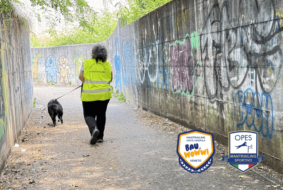 Mantrailing Veneto – cane con conduttore durante una gara di ricerca olfattiva